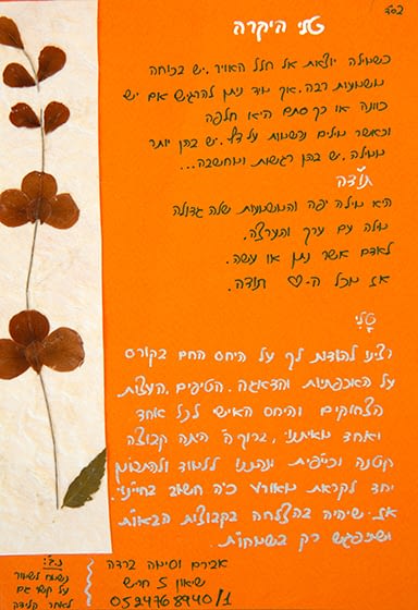 zohar66